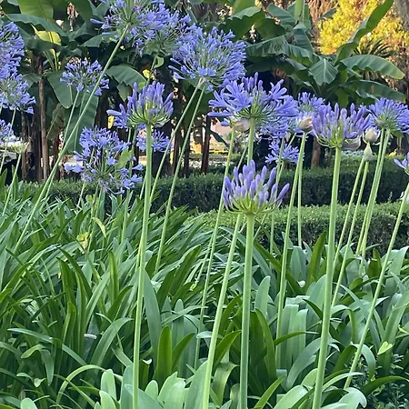 Casa Marvana 2, Near The Ferry To Cinque Terre Апартаменты