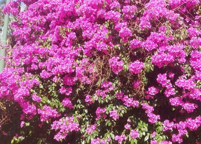 Casa Marvana 2, Near The Ferry To Cinque Terre Apartment La Spezia