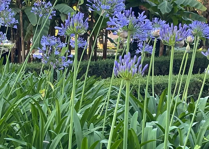 Casa Marvana 2, Near The Ferry To Cinque Terre アパート