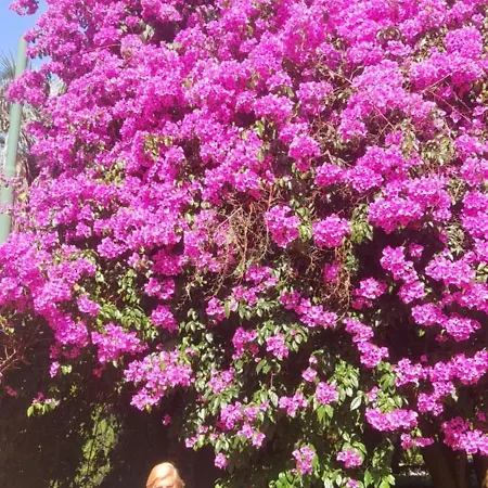 Casa Marvana 2, Near The Ferry To Cinque Terre Appartement La Spezia